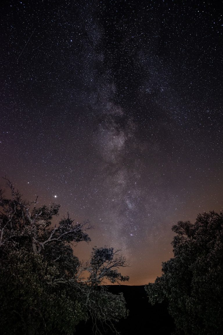 découvrez l'astrophotographie, l'art de capturer la beauté des ciels étoilés et des objets célestes. apprenez des techniques et astuces pour immortaliser des images spectaculaires de l'univers avec votre appareil photo.