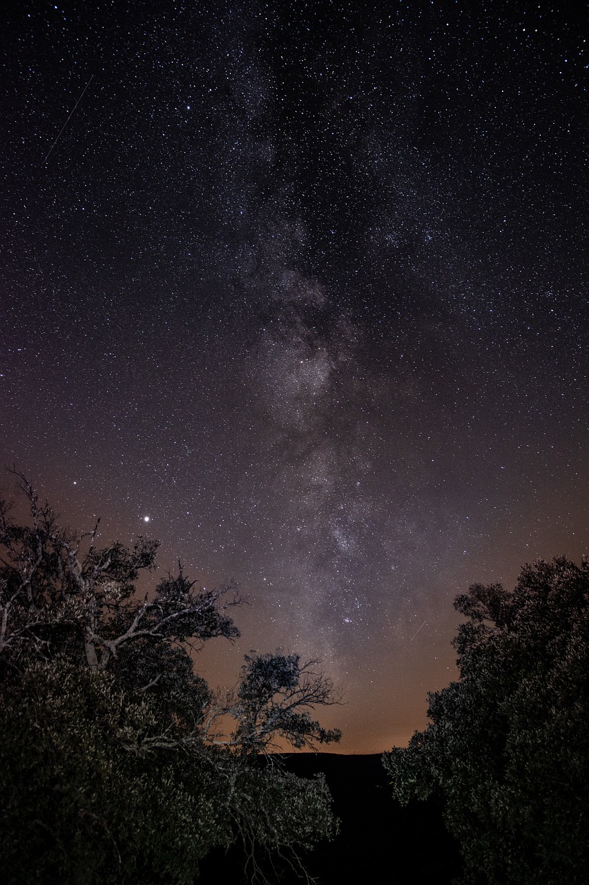 découvrez l'astrophotographie, l'art de capturer la beauté des ciels étoilés et des objets célestes. apprenez des techniques et astuces pour immortaliser des images spectaculaires de l'univers avec votre appareil photo.
